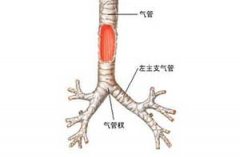 ֧�������ŵ�ԭ�� ����Щԭ��