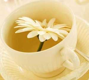 解析孕妇能喝金银花茶吗