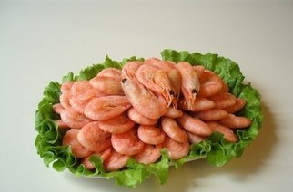 婴儿饮食健康小常识