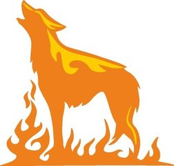 奋斗