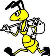 С���Ϻںڵ������ٶ����´�ȫ