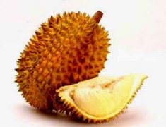 �и����Գ������� �и��������ɽ���