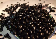 Ů������������ʲô�� Ů������������ʳ���Ƽ�