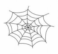 ��ֲ�и��֩�뾭���׶����ɹ���