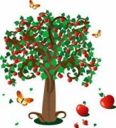 С��ȸ��ƻ�����׶���������