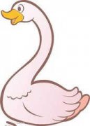 ������������׶���������