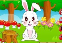 С�����������׶����¾�ѡ