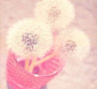 ����������ʲô ������������ˮ������ˮ��