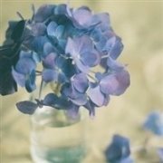 �����˵���������ѧ �������ִ�ȫ