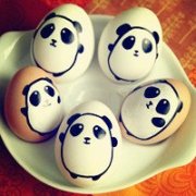 ���ߵ���������ѧ ��ʷ��������