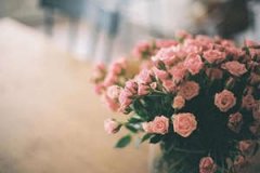 ��ʷ�������������ѧ֪ʶ ���ִ�ȫ֪ʶ