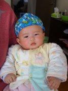 �ʸ�������ȫ���� �ʸ�������֪ʶ