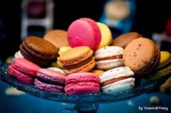 ���������ͺ� �������ϳ���Ʒ