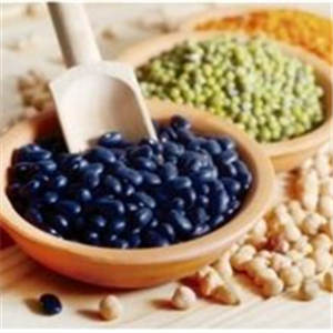 ʹ�粡����ʳ