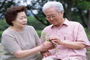 �����˸�Ѫѹ��ʳ����