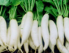 �����˶���ܲ��ò���