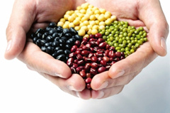 ������ʳԭ��