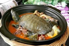 �ȼ���Ѫ���������� ����Ѫ������������