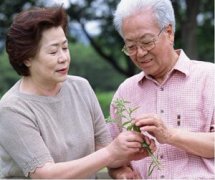 �����ֶ���ʲôԭ�� �������������ֶ�