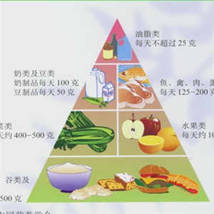 孕期饮食金字塔