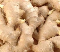 ��������ע������ ���˳������ĺô�