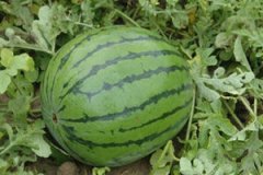 �¾��ڼ���Գ������� ���ڿɲ����Գ�����