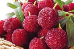 �и��ܳ���÷�� �и�����÷�ò���