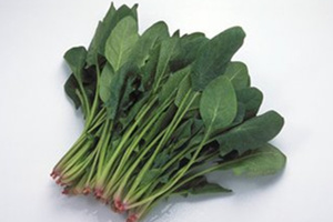 孕妇能吃菠菜吗