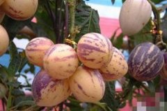 �и��ܳ��˲ι��� �и��ܲ��ܳ��˲ι�