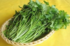 �и��ܳ������ �и����Գ������