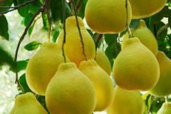 �и����Գ������� �и������Ӻò���