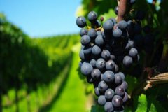 ���г����Ѻ��� ���г����Ѻò�����