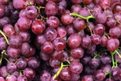 ���п��Գ������� �����ܲ��ܳ�������