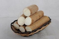 �и��ܳ�ɽҩ�� �и��ܲ��ܳ�ɽҩ��