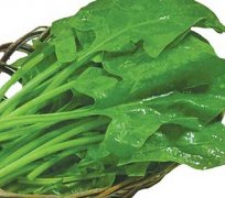 ���˵Ĺ�Ч������ �Բ��˵ĺô�