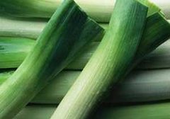 ��е�ʳ������ �������Щ��Ч