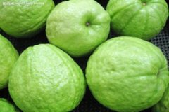 �и����ԳԷ�ʯ���� �и��Է�ʯ�����