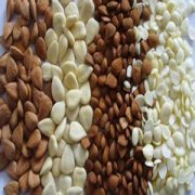 �����ʺͿ����� �����к�����