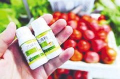 ˮ������� ����캢����