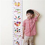 С����ʲô�ܳ��� ������С�����ߵ�ʳ������Щ