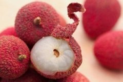 �����ܳ���֦�� ���г���֦�ò�����