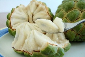 孕妇可以吃番荔枝吗