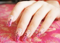 ��������ͼƬ ������ȫ��������ͼƬ