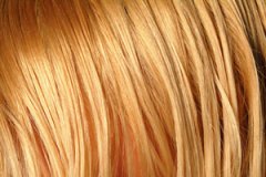 ͷݻ˸λ ͷݻƸ˻