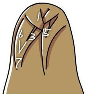 ෢ͼ ı෨