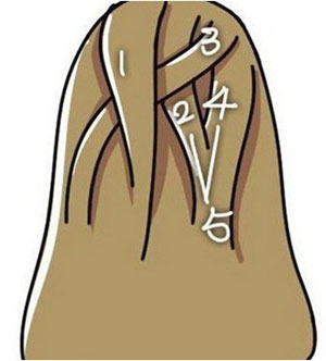 ෢ͼ ı෨