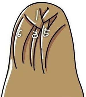 ෢ͼ ı෨