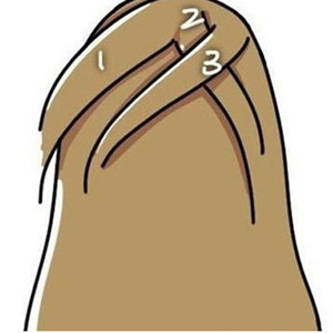 ෢ͼ ı෨