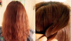 ��ʽ�෢�̳� �＾��ʽ�෢�̳�