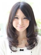 ��ϵ���� ��ϵ�г��������Ƽ�